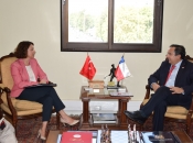 Audiencia del Subsecretario de Defensa con la Embajadora de la República de Turquía en Chile